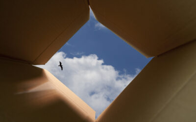Innovation DNA: A model for cultivating innovation across your organization